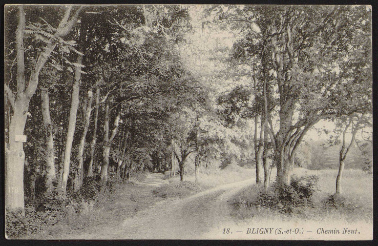 Briis-sous-Forges.- Sanatorium de Bligny : chemin Neuf dans le parc (21 avril 1911). 