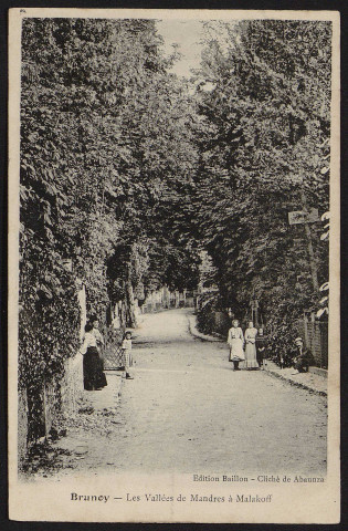 Brunoy.- Les Vallées de Mandres à Malakoff : la rue des Vallées (1905). 