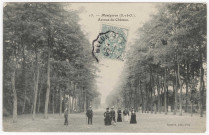 MONTGERON. - Avenue du château [Editeur Gautrot, 1906, timbre à 5 centimes]. 
