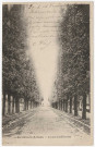 VERRIERES-LE-BUISSON. - Avenue Cambacérès [1904, 2 timbres à 5 centimes]. 