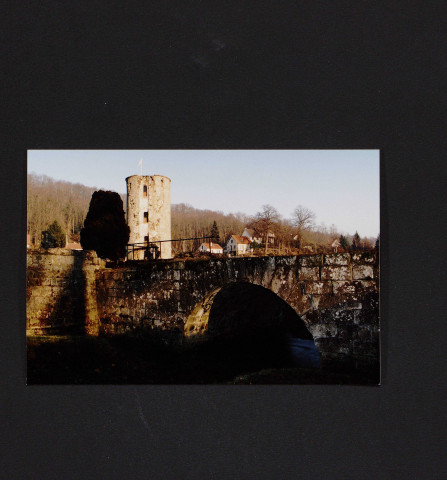 MARCOUSSIS.- Ruines du château [2002-2009].