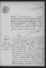 PUSSAY.- Naissances, mariages, décès : registre d'état civil (1901). 