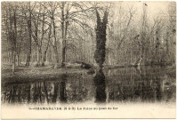 Chamarande, cartes postales (1903-1920).