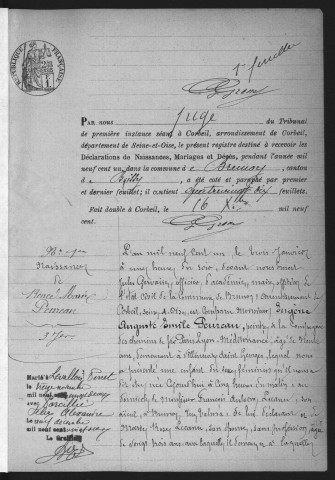 BRUNOY.- Naissances, mariages, décès : registre d'état civil (1901). 