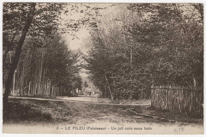 PALAISEAU. - Le Pileu. Un joli coin sous bois [Editeur Petit, sépia]. 