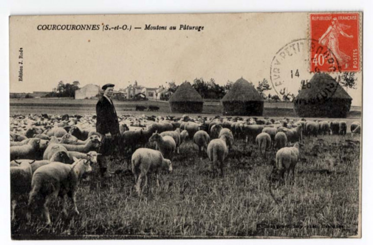 COURCOURONNES. - Moutons au pâturage. Editeur Rode, 1926, timbre à 40 centimes. 