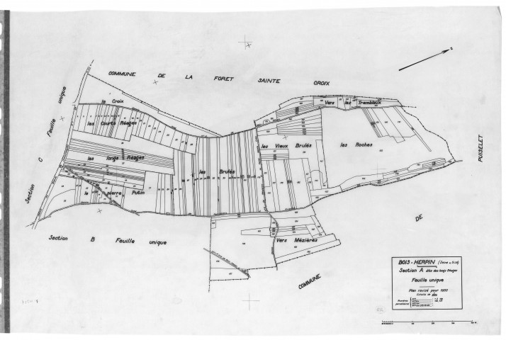 BOIS-HERPIN. - Cadastre révisé pour 1933 : plan du tableau d'assemblage, plans de la section A les Longs Réages, section B le Moulin à Vent, section C le Village, [4 plans]. 