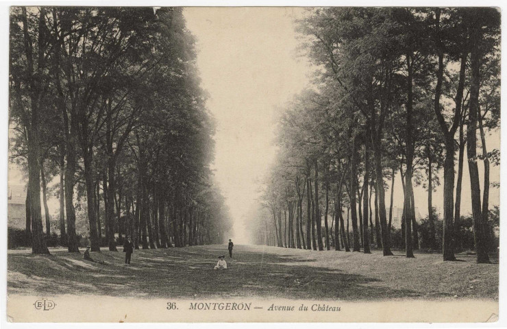 MONTGERON. - Avenue du château [Editeur ELD, timbre à 5 centimes]. 