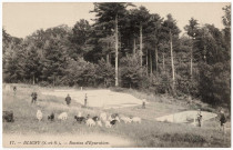 BRIIS-SOUS-FORGES. - Sanatorium de Bligny. Bassins d'épuration. 