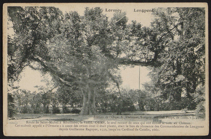 LONGPONT-SUR-ORGE. - Lormoy, parc du château : Le vieil orme [1904-1910].