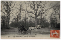 DRAVEIL. - Forêt de Sénart. Carrefour de l'Ermitage. (1913), 10 lignes, 10 c, ad. 